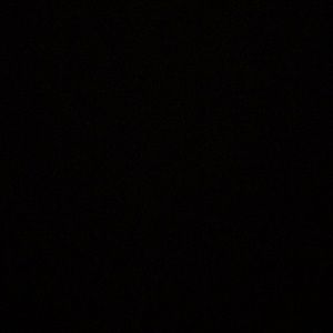 Meet your Posher, Evangelina